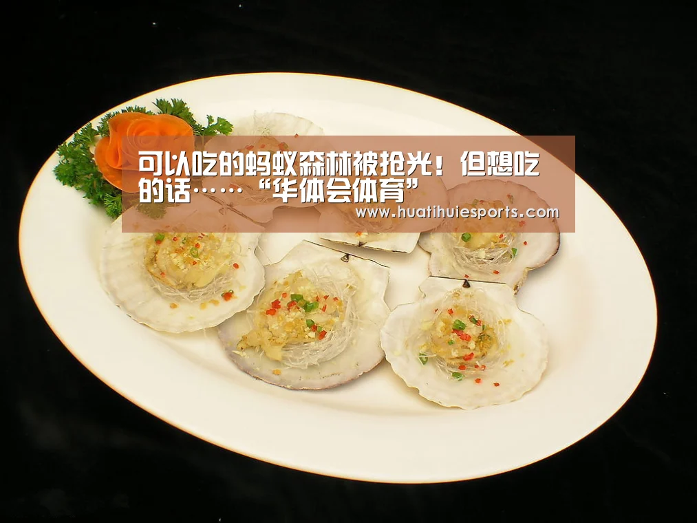 华体会娱乐