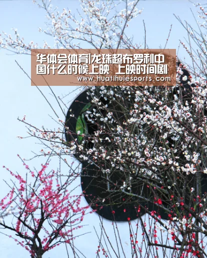 华体会下载